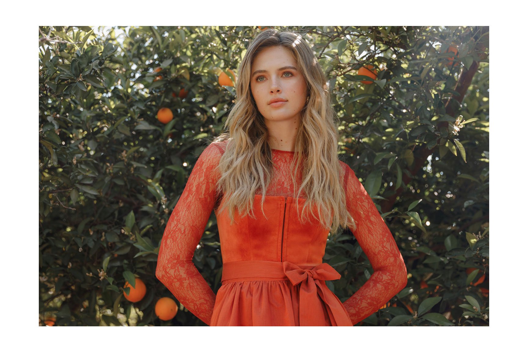 Banner component desktop image